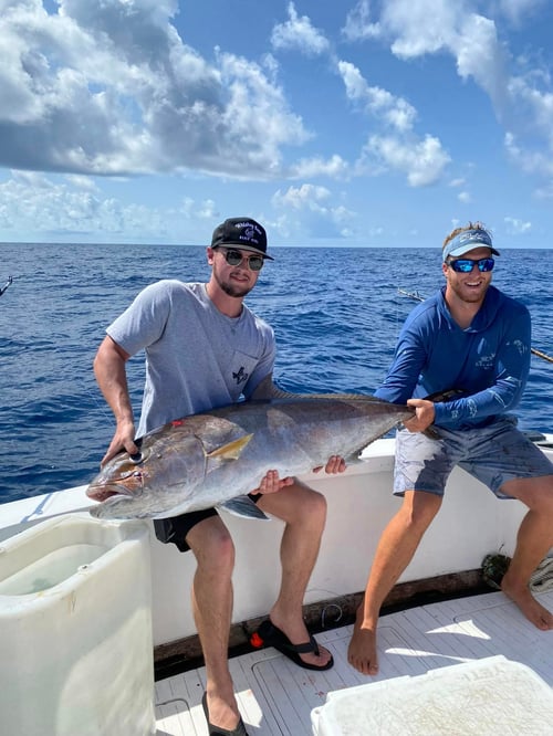 Captain Daniel's Fish Frenzy