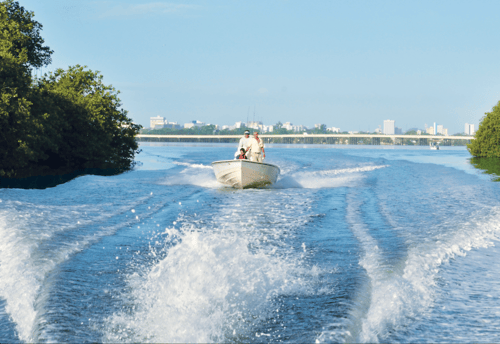 Light Tackle  Puerto Rico