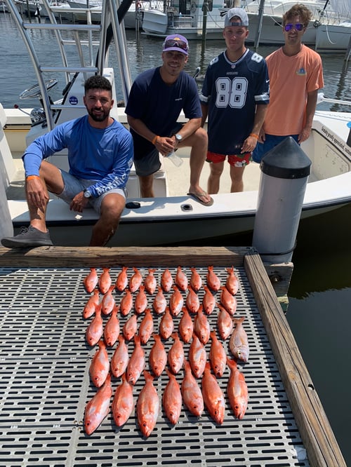4 hour bay/nearshore