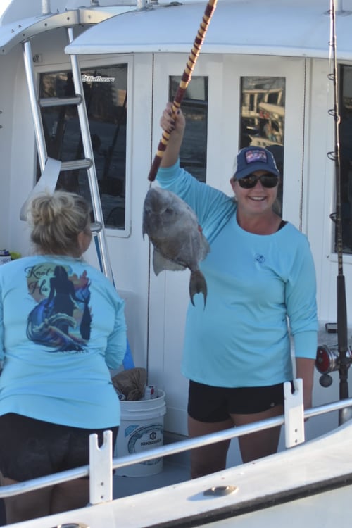 The Ole Destin Special