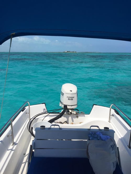 Montauk Inshore Waters