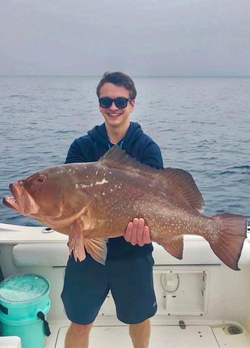 Grouper/Snapper 40mi+