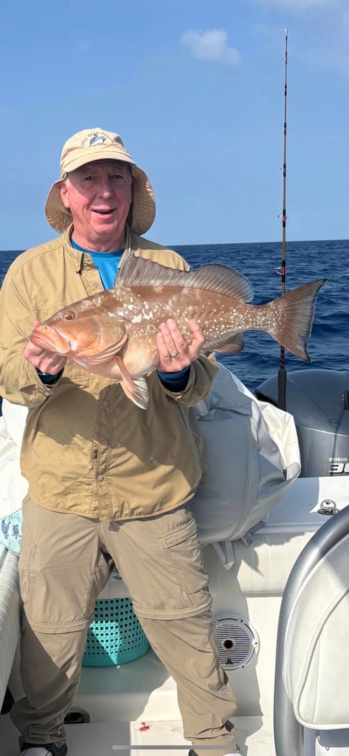 Grouper/Snapper 40mi+