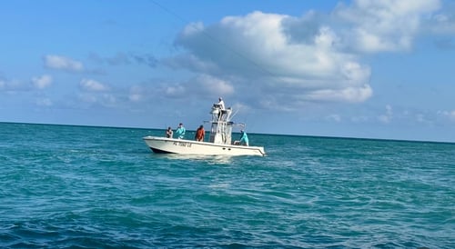 Key West Sportfishing Adventure!