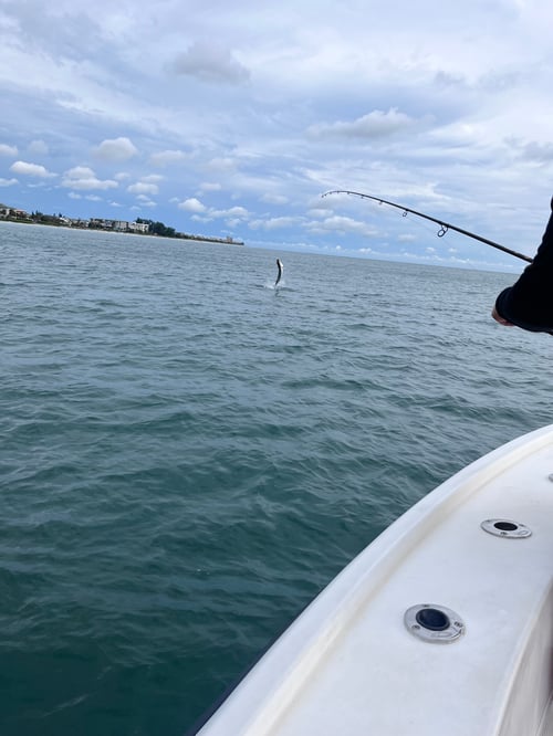 Tarpon Fishing Baby!