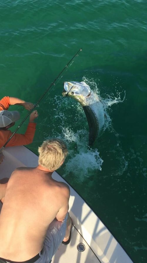 Tarpon Fishing Baby!