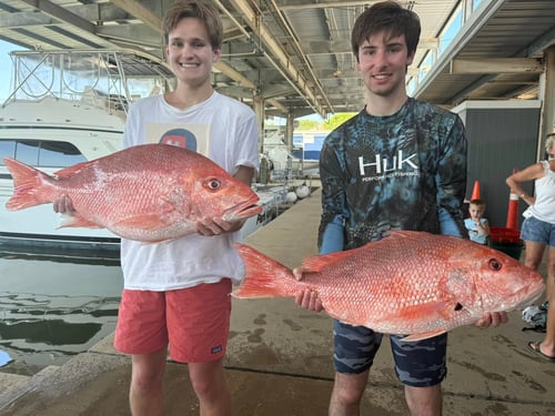 Luxury Snapper Fishing