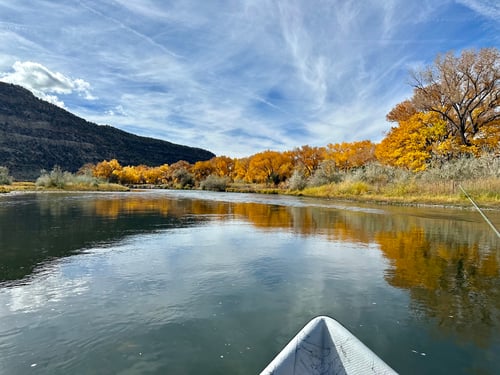 San Juan River - Wade Trip