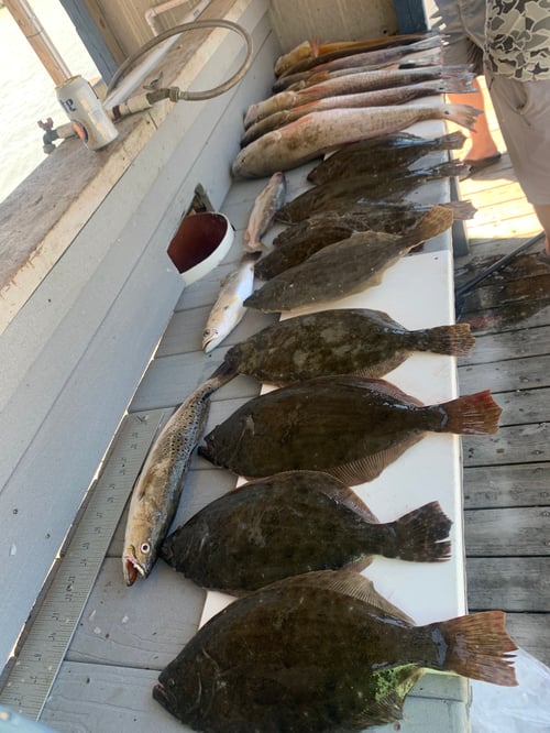 Laguna Madre Magic