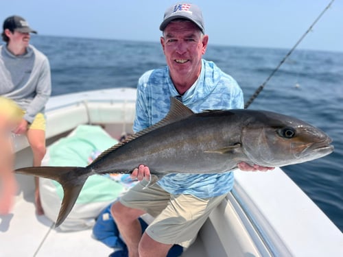 Big Fish Thrills