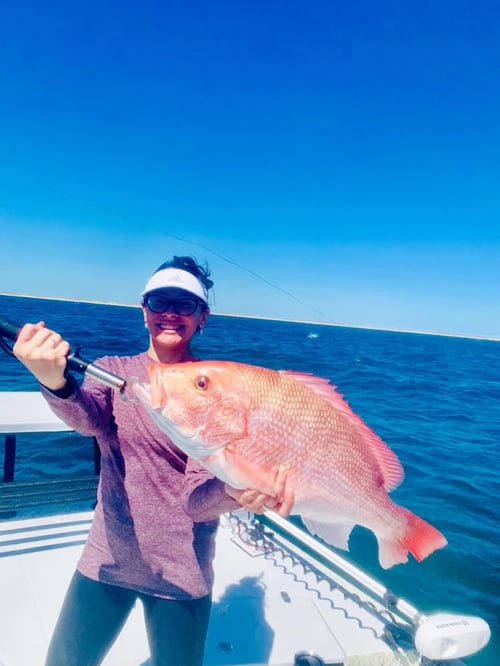 Snapper Season Baby!!!
