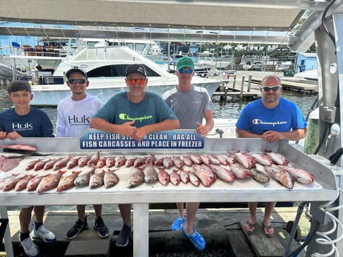 Quick Catches in the Gulf