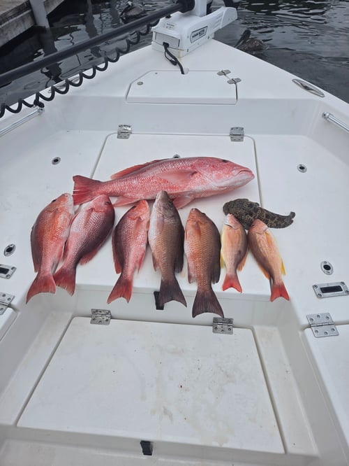 Gulfbound Glory: Emerald Coast