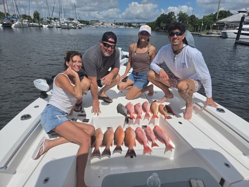 Gulfbound Glory: Emerald Coast