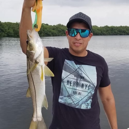 Tampa Bay Inshore Roundup