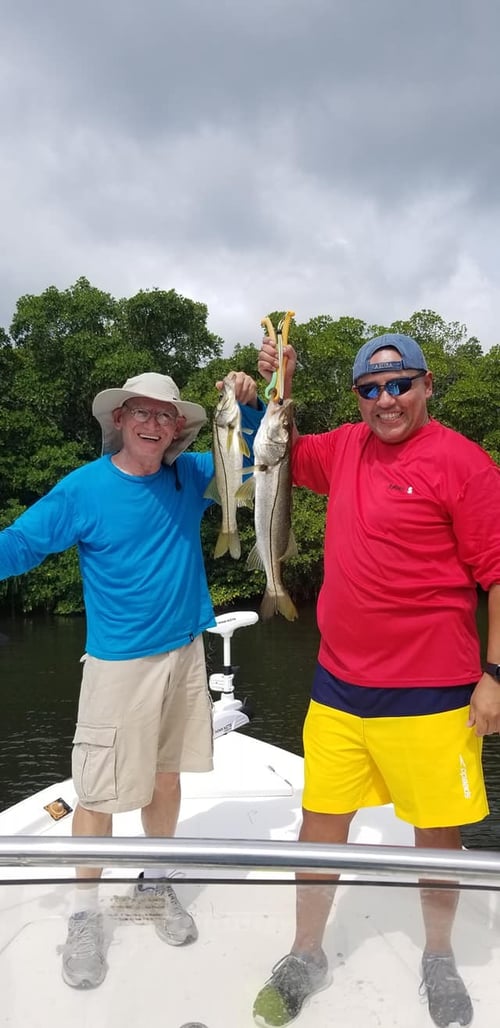 Tampa Bay Inshore Roundup