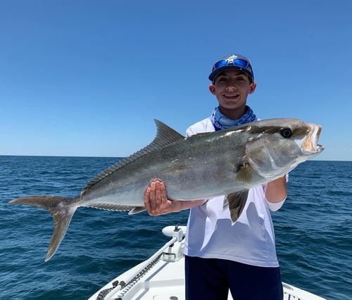 Inshore Gulf Fishing Frenzy