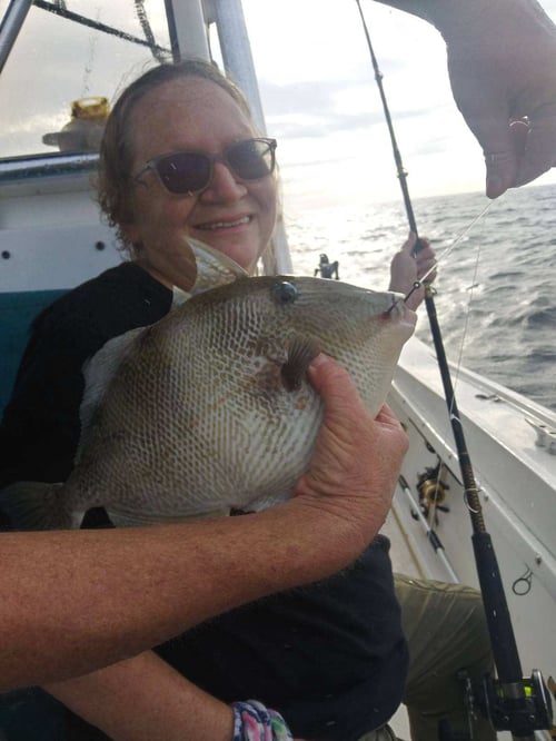 Triggerfish Fishing in St. Marys, Georgia