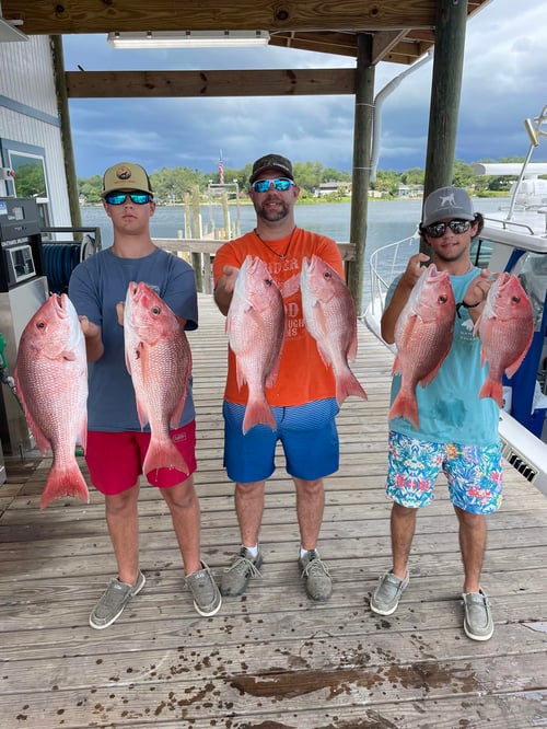 Reelin' in Red Snapper
