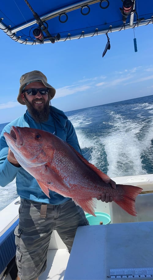 Reelin' in Red Snapper