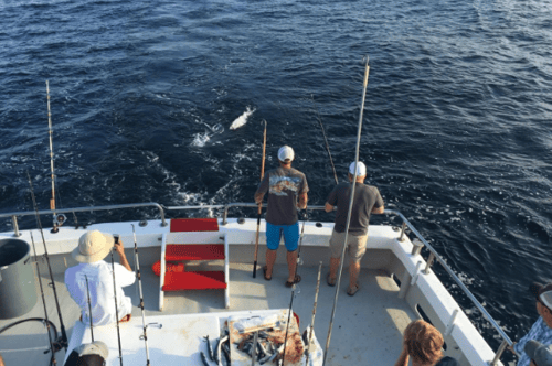 Charter Boat "TradeWinds" 10 Hour Trip