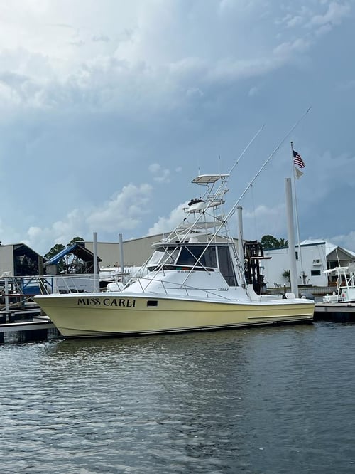 Half Day Deep Sea Fishing Charter