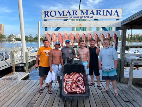 Half Day Gulf Thrill Expedition