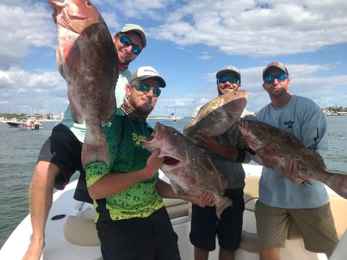 Full Day Cape Coral Offshore
