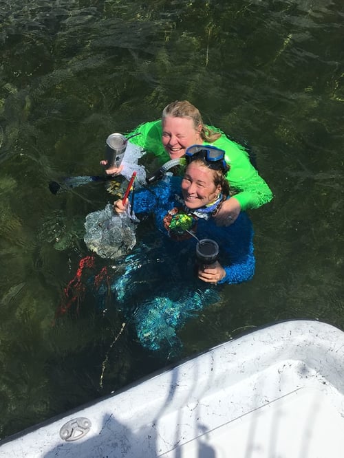 Scallop Hunting!