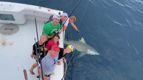 1/2 Day Destin Dash