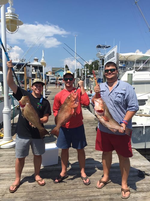 Destin's Craziest Catches