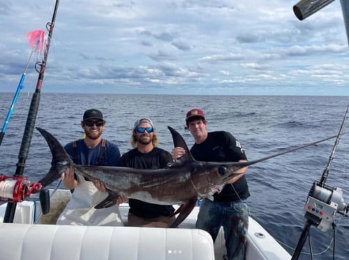 Swordfish Fishing in Pompano Beach, Florida