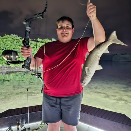 Tampa Bowfishing Charters