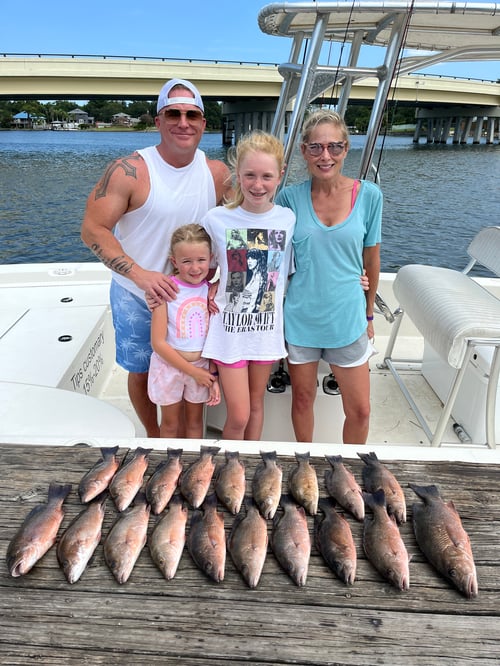 1/2 Day inshore/offshore