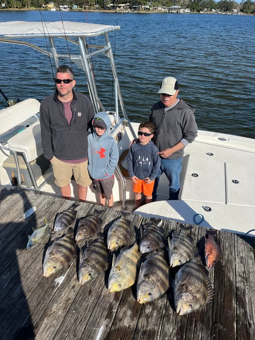 1/2 Day inshore/offshore