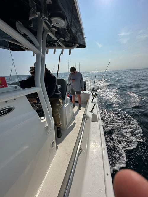 Offshore Snapper & Trolling