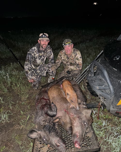Eradication Hog Hunt