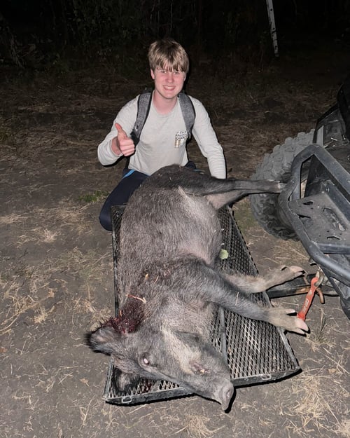 Eradication Hog Hunt