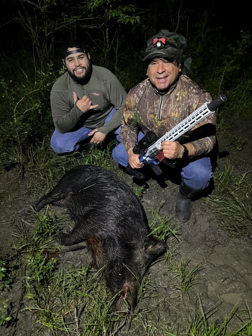 Eradication Hog Hunt
