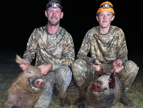 Thermal Hog Hunting