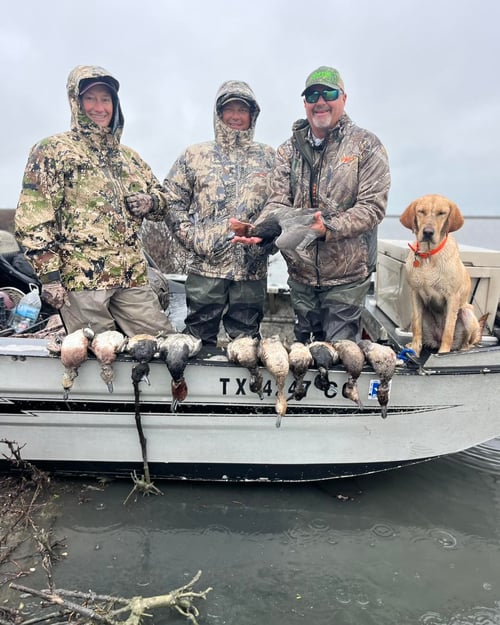Coastal Duck Delight