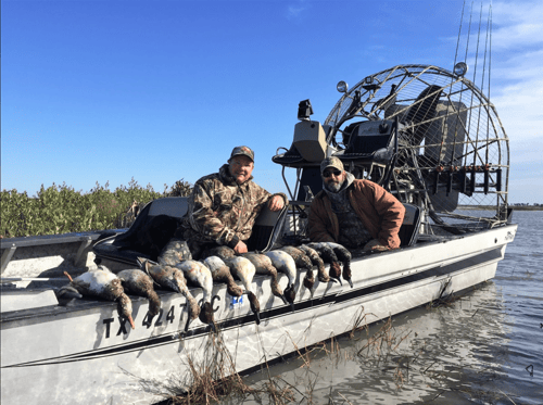 Coastal Duck Delight