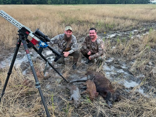 Hog Fishing in Palestine, Texas