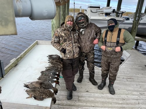 Delacroix Duck hunting