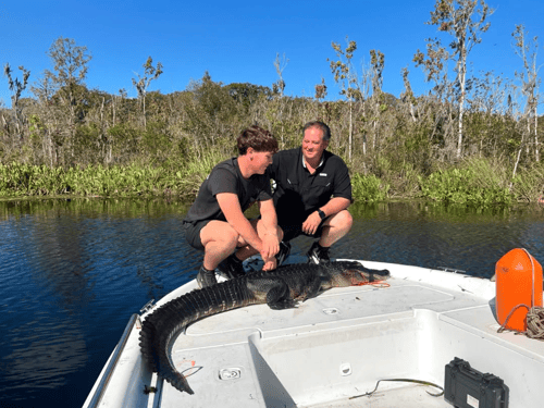 Good Ol' Gator Hunting