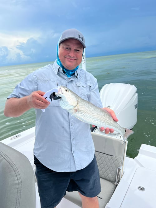 In or Near Shore Experience