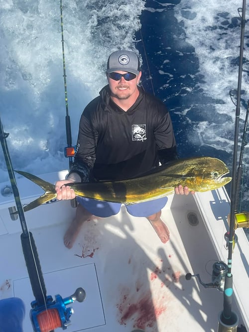 9 Hour Atrapasueños Sportfishing