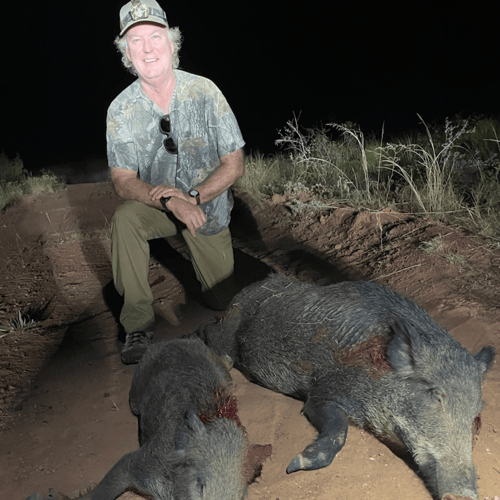 Takin' Down Texas Hogs