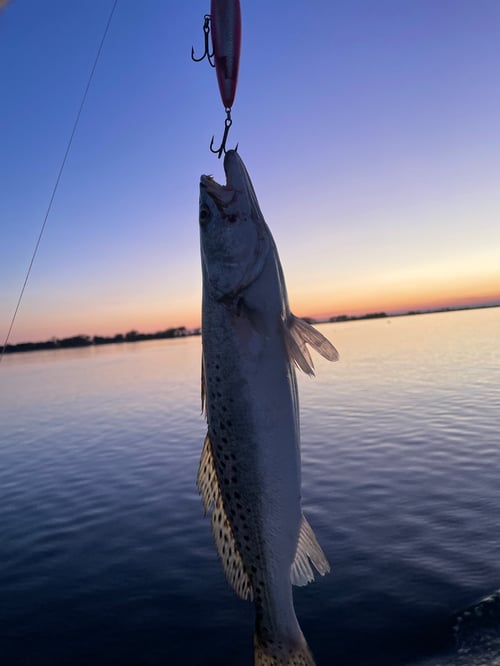 Biloxi Mixed Bag Trip