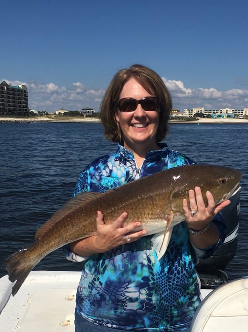 Orange Beach Inshore Hook-Up